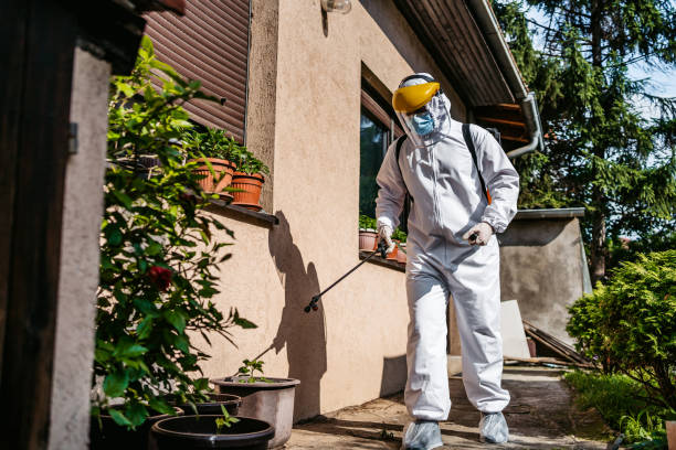 Best Best Pest Control Companies  in Waxahachie, TX