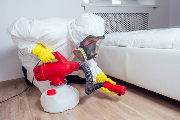 Best Termite Control Services  in Waxahachie, TX