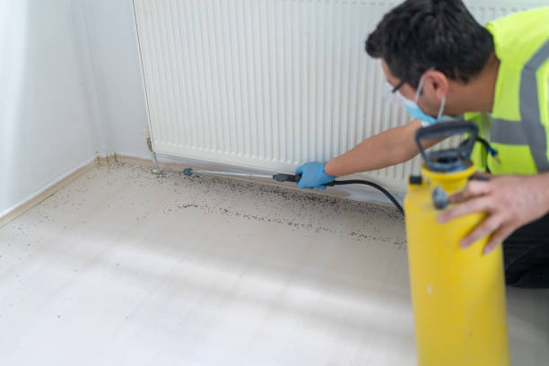 Best Pest Prevention Services  in Waxahachie, TX