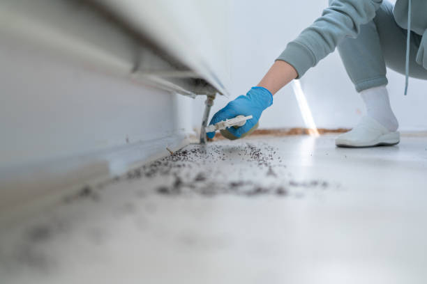 Best Exterminator Services  in Waxahachie, TX